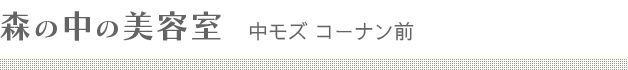 森の中の美容室 中モズ店